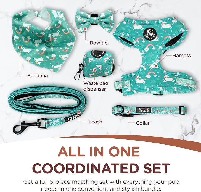 No Pull Harness and Leash Set - 6-in-1 Adjustable Vest Harness and Collars for Medium and Large Dogs. (Tile Unicorn, Small)