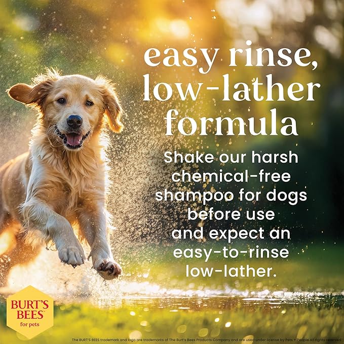 BURT'S BEES FOR PETS Itch Soothing Dog Shampoo for Itchy Skin, pH Balanced Honeysuckle with Skin-Conditioning Honey, 95%+ Natural Origin Formula, No Sulfates, Fragrances, or Colorants, 16 Fl Oz