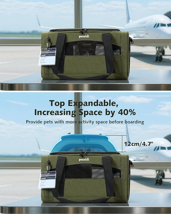 Pecute Expandable Airline Approved Pet Carrier for Cats & Dogs, Light Gray | Fits pets under 11 lbs, Under-seat airline approved, Anti-scratch mesh, Safety leash & locking zippers, Leakproof pee pad