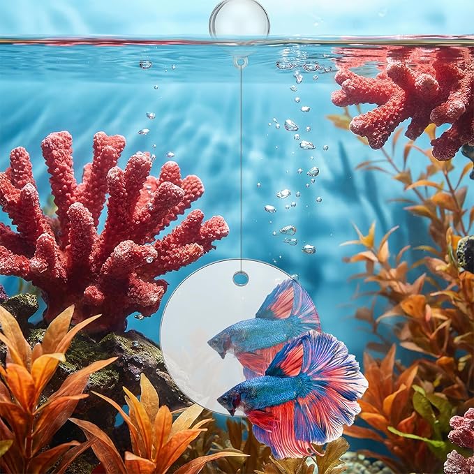 Xthrotsenk 2 Pcs Betta Enrichment Toys Betta Fish Toys Beta Exercise Ring Floating Mirror Set Fish Feeding Ring Bettas Tank Accessories for Aquarium Beta Tank