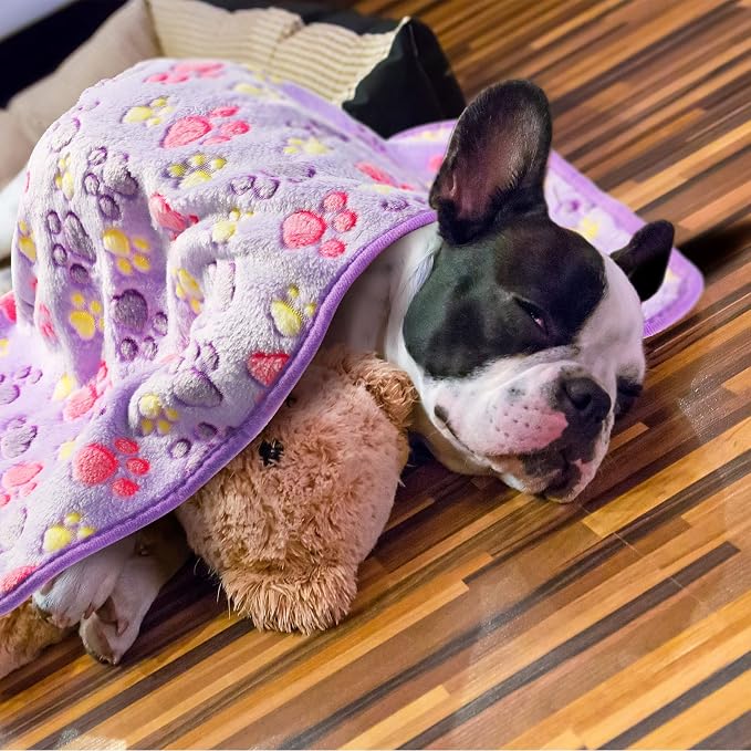 Tatuo 4 Pack Fleece Dog Blankets for Puppy Cats Multi-Size Sleep Mat for Pet Guinea Pig Soft Washable Warm Crate Bed Puppy Teething Toys Print Pattern Blanket Indoor(Purple,24 x 16 Inch,Paw)