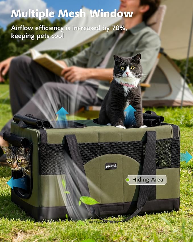 Pecute Cat Carrier, Soft Double Pet Crate for 2 Cats Travel, Green | 5mm Anti-collapse Frame, Convertible Dual Space, Foldable, Polyester Breathable mesh, Up to 26 lbs, Car Travel & Vet Visits