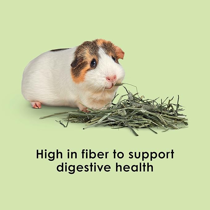 Kaytee Timothy Hay, High Fiber, Grown Specifically for Small Animals, Rabbits, Guinea Pigs, Chinchillas, 96 Ounces