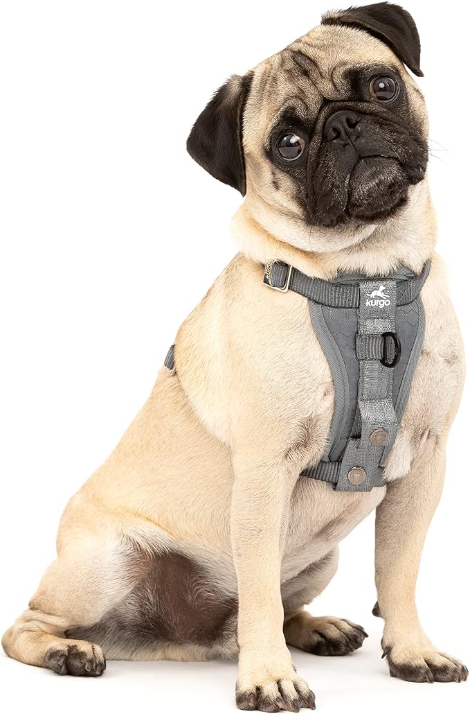 Kurgo Enhanced Strength Tru-Fit Smart Harness, Charcoal, Small | Crash Tested Car Harness for Dogs up to 75Lbs, Seatbelt Tether & Steel Carabiner, All-Steel Buckles, Padded Chest for Comfort