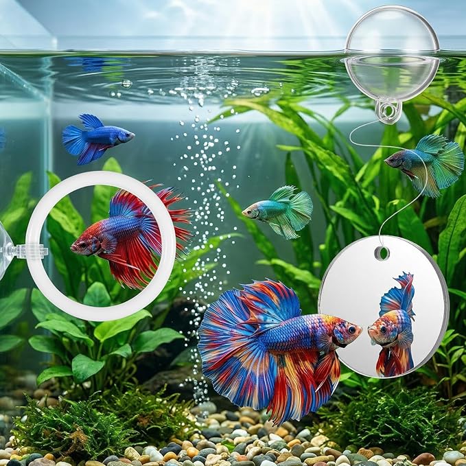 3Pcs Betta Fish Exercise Ring and Mirror Set 1 Mirror with Floating Ball 2 Exercise Training Rings Toy Betta Ring Enrichment Toys Floating Mirrors Balls Resting Spot Fishing Tank Accessories for Fish