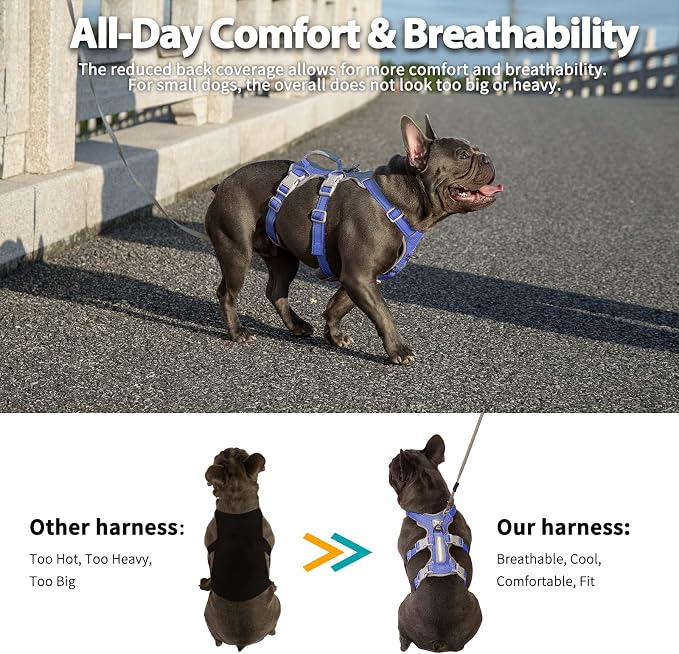 Escape Proof Harness for Dogs, No Escape Dog Harness, No Pull Dog Harness for Small Dogs with Handle, Reflective, Breathable,Durable, Adjustable Vest for Walking,and Running Gear(Vista Blue,S)