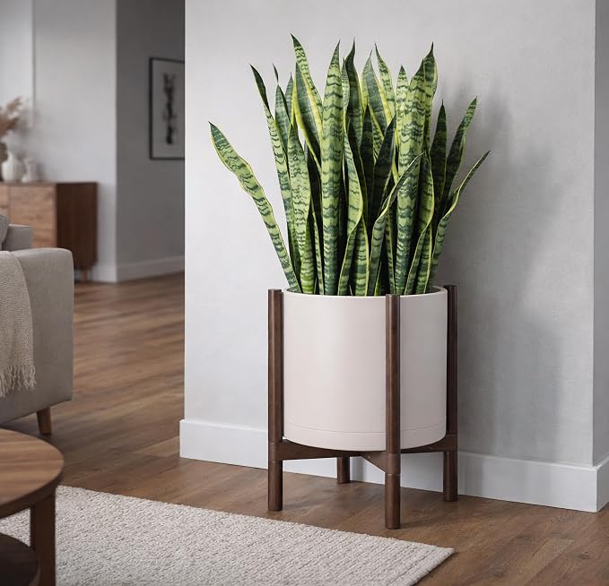 D'vine Dev Plastic Pot with Walnut Wood Stand, Oatmeal, 16 in, 55-C-X-4 | Mid-Century Inspired Design, Elevated Plant Display, Clean Lines, Sturdy Support, Modern Space-Saving Style