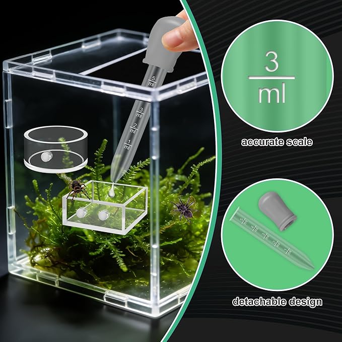 Windspeed 2+1P 1.8 inch Mini Jumping Spider Feeding Dish Magnet Tarantula Water Bowl for Spider Feeder Water Dish for Tarantula Tank Enclosure Accessories, with A Dropper (Square and Round)