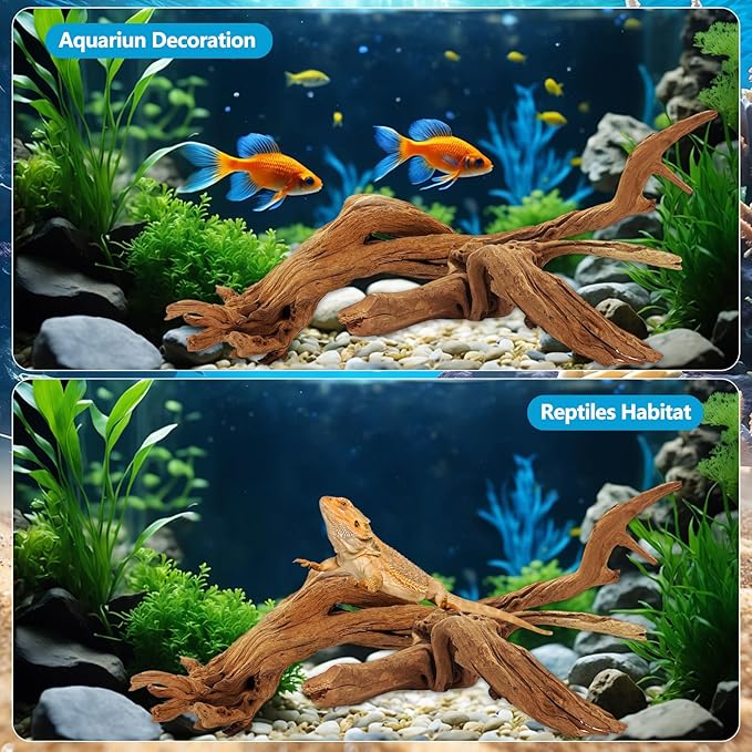 2 PCS Large Natural Aquarium Driftwood 12-16", Aquarium Drift Wood for Fish Tank Decoration, Assorted Size Mopani Wood Twisted Branches Trunk Decor for Freshwater, Reptile Terrarium