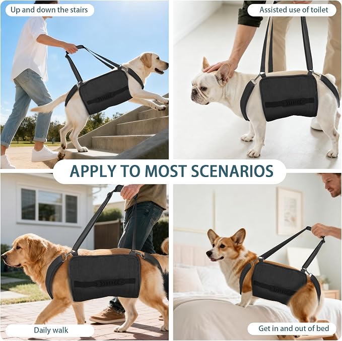 Adjustable Dog Lift Harness, Dog Carry Sling Provides Rear Leg Support for Senior Dogs, Arthritis and After ACL Surgery Dogs,Suitable for Medium to Large Dogs,Black L