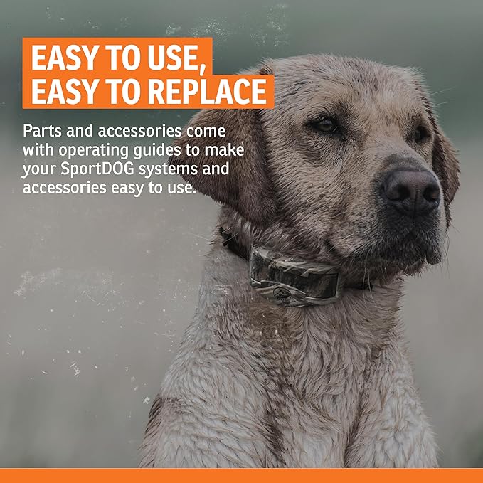 SportDOG Roy Gonia Special Whistle - Long-Range Projection Hunting Dog Field Training Whistle - Ear-Friendly & Ergonomic Design - Durable Plastic Construction