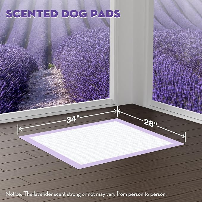 CROCI Large Puppy Pads with Adhesive Tabs Lavender Scented 28x34in 40Ct | Super Absorbent Dog Pads Holds Up to 8 Cups of Urine, 6-Layers, Quick-Dry Surface, Leak-Proof, Disposable