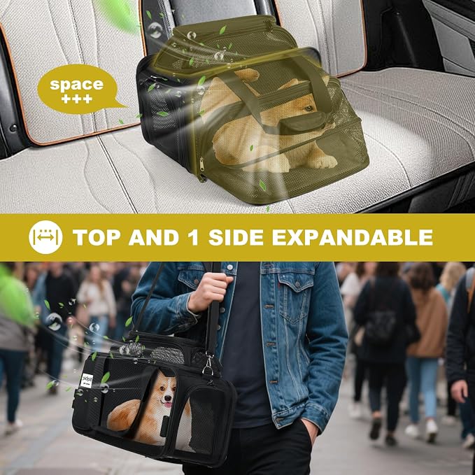 pidipiti 17x11x11 Soft-Sided pet Carrier,for 1 Small Dog or Medium cat | top and 1 side Expandable,for American Delta United Airline ,TSA Approved,with 2 pockets,zipper lock,leakproof,vet visiting