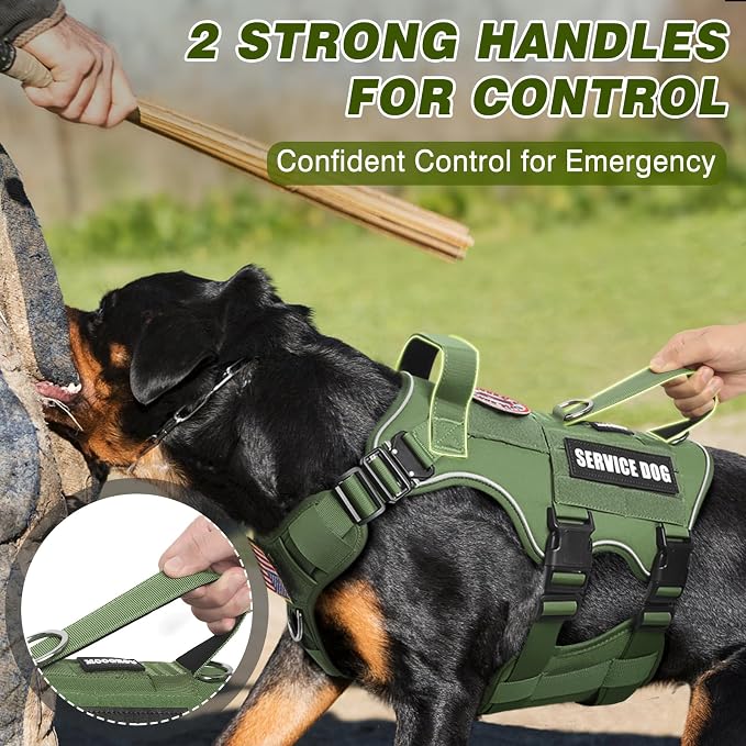 Service Dog in Training Vest and Leash Set with 10 Patches,Heavy Duty Tactical Dog Harness with Metal Buckles for Large Dogs,No Pull Easy Walking for Training Working Hiking,Green L