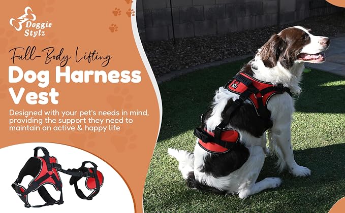 Doggie Stylz Multi-Functional Full-Body Lifting Dog Harness Vest | Designed for Front-Only, Rear-Only, Please Measure Your Dog Before Ordering