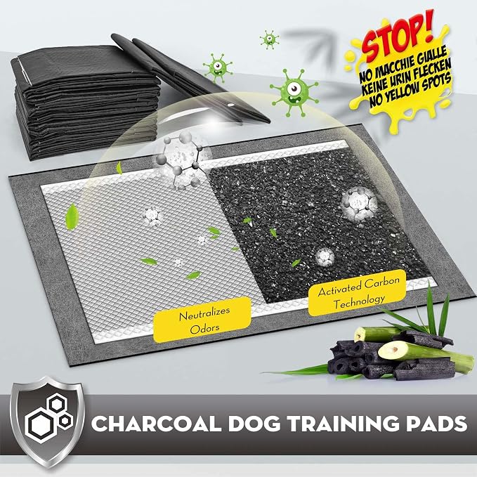 CROCI Charcoal Pee Pads for Dogs Odor Control Leak Proof 23x24in 100Ct | Super Absorbent Dog Pee Pads with Adhesive Tabs, Heavy Duty, Dog Potty Training, Quick-Dry Surface, Disposable