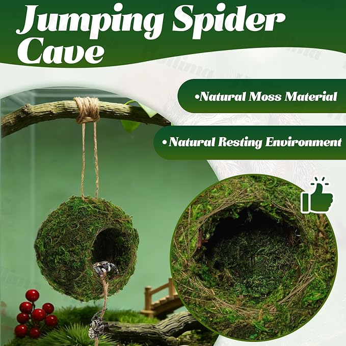 Jumping Spider Moss Cave Hide, Round Green Small Spider Moss Hideout, Jumping Spiders Cave Accessory for Reptile Terrarium