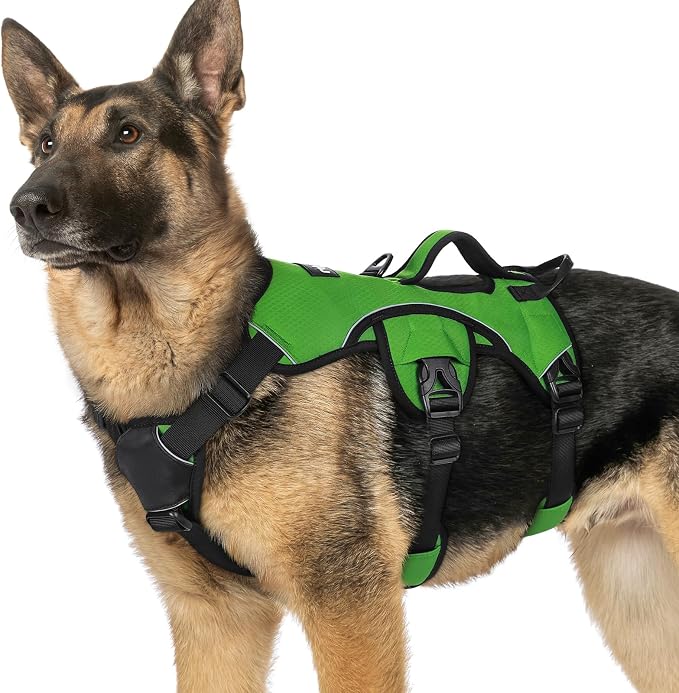 rabbitgoo Escape Proof Dog Harness for X-Large, No Pull with Lift Handle | No Escape, Full Soft Padded, Reflective Adjustable Vest, Leash Clip for Walking Hiking Training, Green, X-Large