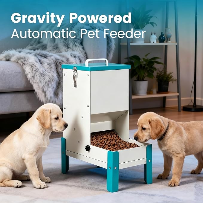 Automatic Cat Feeder, Elevated Dog Bowl Food Dispenser Gravity | 10L Galvanized Automatic Dog Feeder Elevated Cat Feeder Removable Feeding Tray Raised Pet Feeder for Dogs and Cats