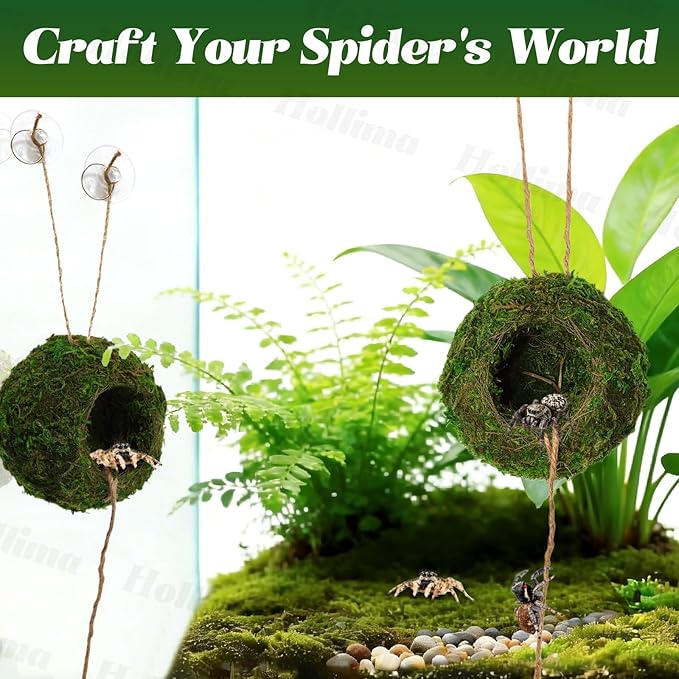 Jumping Spider Moss Cave Hide, Round Green Small Spider Moss Hideout, Jumping Spiders Cave Accessory for Reptile Terrarium