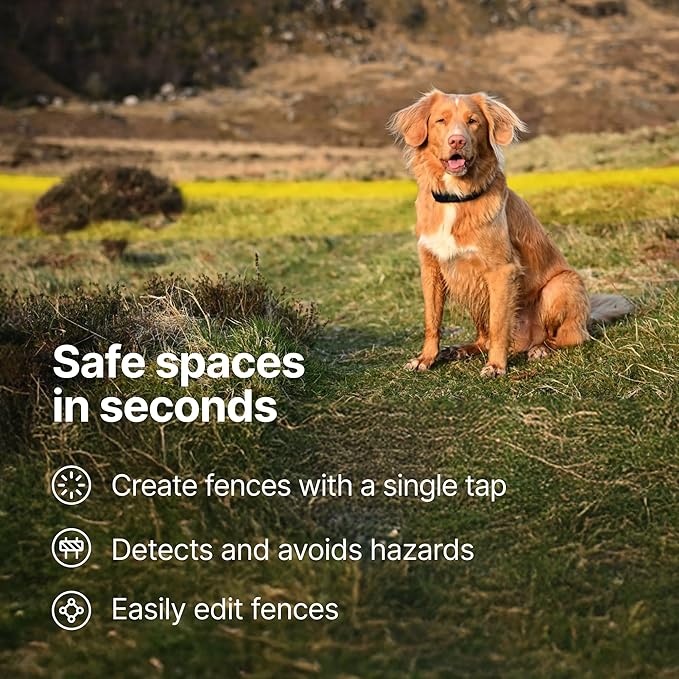 Halo Collar 5 Wireless Dog Fence & GPS Dog Collar, Keep Your Dog Safely Contained Outdoors with App-Controlled Boundaries and Real-Time Tracking, One Size, Sunburst