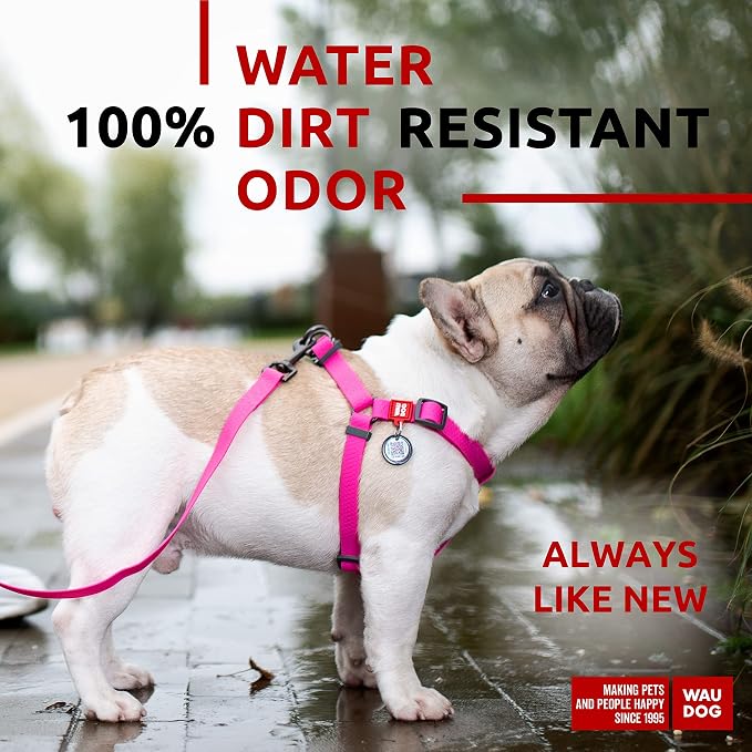 WAUDOG Waterproof Dog Harness and 6 Ft Leash Set - Adjustable, Heavy Duty with Durable Metal Clasp and QR Dog Tag