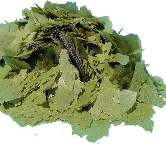Aquatic Foods Inc. Flakes, Premium Spirulina Green-GRO Flakes for Guppies, Tetras, Live Bearers Great for All Community Tropicals. Premium Green GRO AF Flakes - 1/4-lb