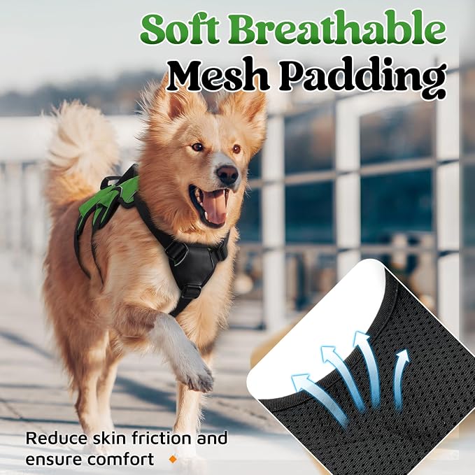 rabbitgoo Escape Proof Dog Harness for Medium, No Pull with Lift Handle | No Escape, Full Soft Padded, Reflective Adjustable Vest, Leash Clip for Walking Hiking Training, Green, Medium