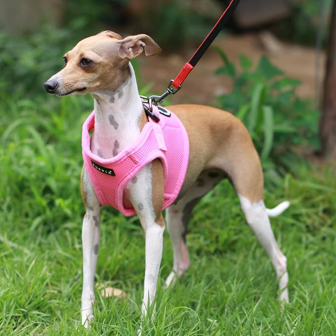PUPPIA International Puppia Harness Soft B Vest Pink, Small