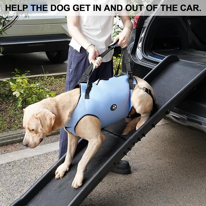 Coodeo Dog Lift Harness, Pet Support & Rehabilitation Sling Lift Adjustable Padded Breathable Straps for Old, Disabled, Joint Injuries, Arthritis, Loss of Stability Dogs Walk (Blue, XS)