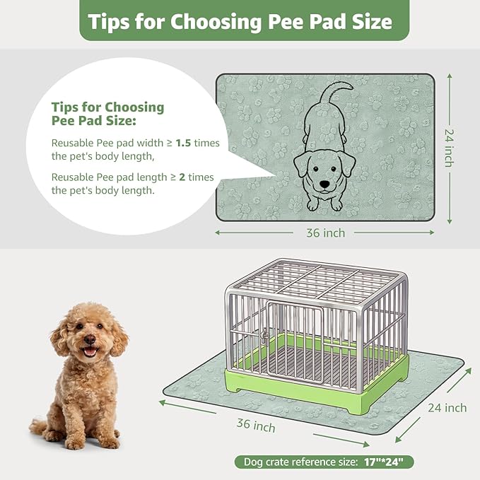 LOOBANI Washable Pee Pads for Dogs, Potty Training, 36"x24", 2-Pack | Super Absorbent Reusable Puppy Pads For Whelping, Crates, Floors, Couches, Waterproof, Leakproof, Non Slip
