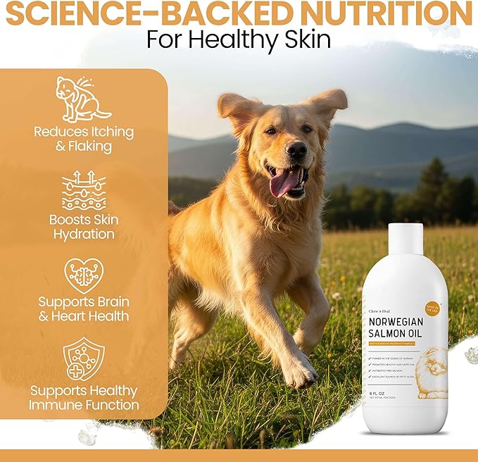 Salmon Oil for Dogs - 64 oz Liquid - Premium Fish Oil for Skin and Coat Health - Omega 3 Supplement - Supports Itchy Skin - Norwegian Dog Salmon Oil - Essential Dog Supplement