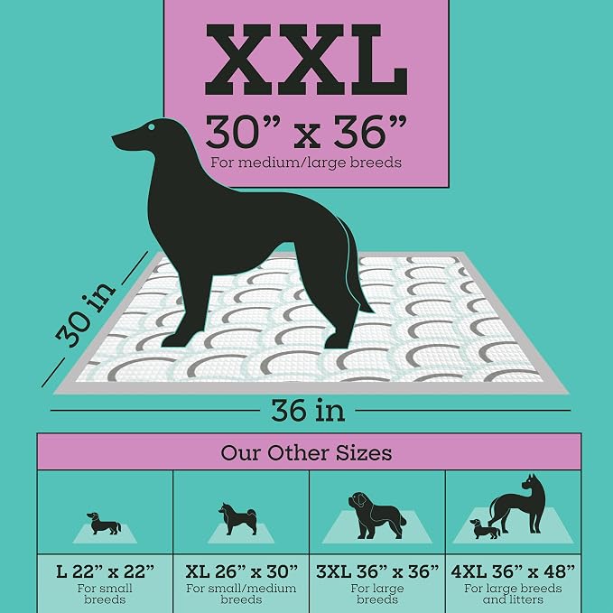 Pet Life Unlimited Smart Prints XXL Puppy Pads for Dogs, Potty Training Pee Pads, 32 Count, 30" x 36", Leak-Proof, Super Absorbent, Quick-Dry, Patterned Pads with Odor Control, Made in USA