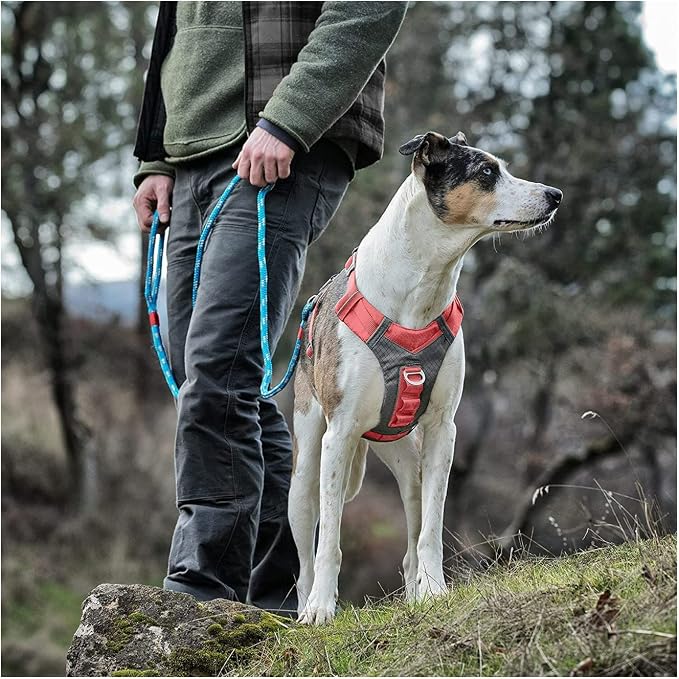 Kurgo Journey Air Dog Harness, Coral, Extra Large | Padded Chest, Ripstop Outer & Breathable Mesh, Back Assist Handle, Rust-Free Aluminum Hardware, Reflective Trim
