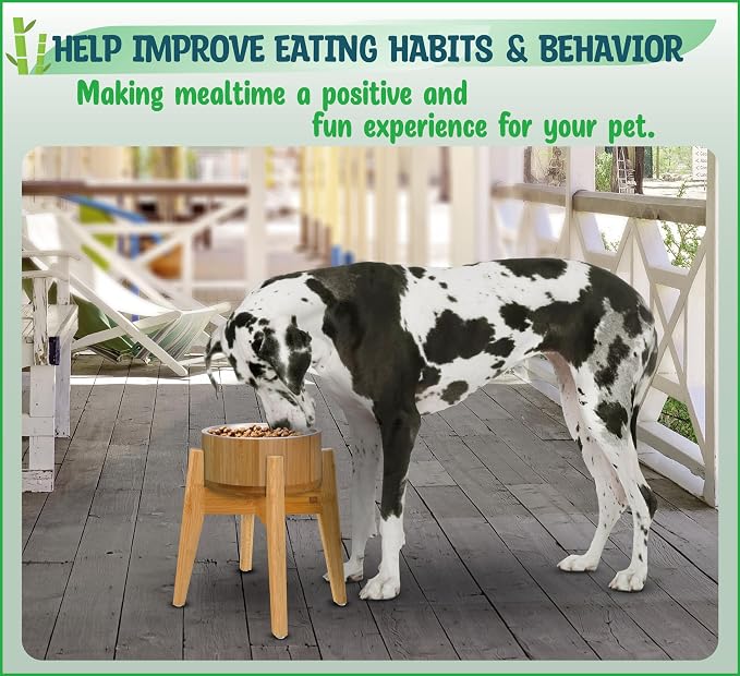 Elevated Dog Bowls for Large Breed - 15-Inch High - 74oz | Raised Dog Bowl Stand Made of Bamboo and Steel - Suitable for Water Dry Wet Foods
