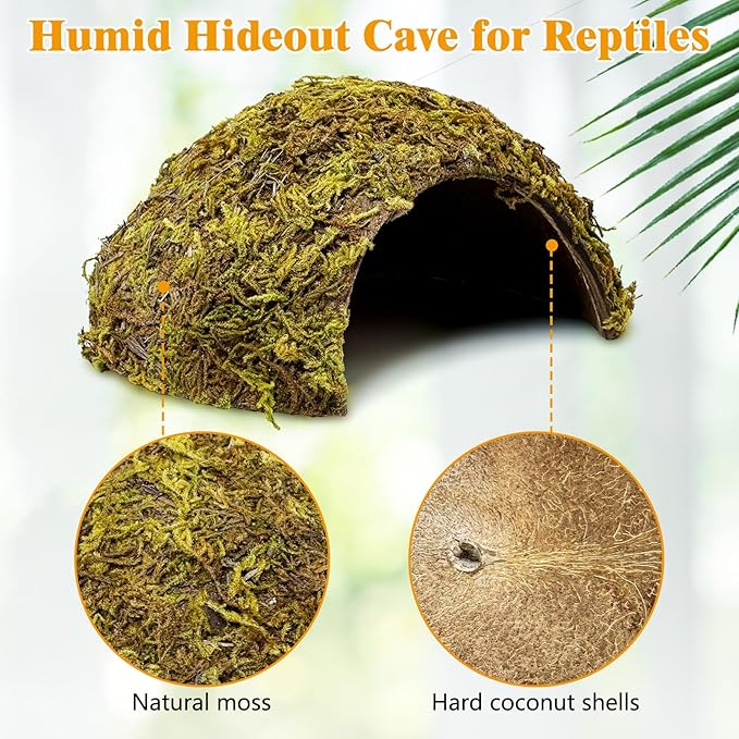 PINVNBY 2 Pack Natural Green Moss Hide Caves Coconut Reptile Hideouts Hamster Climbing Toys Gecko Habitat Decor Lizard Shell Shelter for Snake Tarantulas Turtle Chameleon