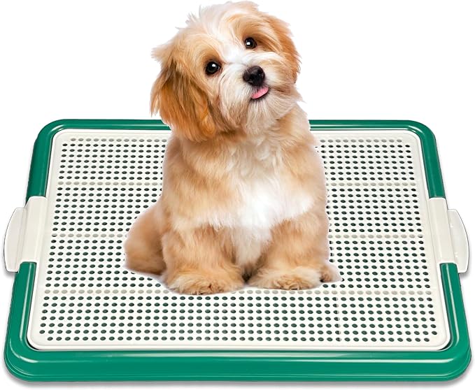 Dog Pee Pad Holder Tray, Puppy Potty Training, 22.5"x16.5", PP Plastic, Snap Lock, 4 Colors (Green)