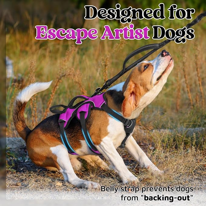 rabbitgoo Escape Proof Dog Harness for Small, No Pull with Lift Handle | No Escape, Full Soft Padded, Reflective Adjustable Vest, Leash Clip for Walking Hiking Training, Purple, Small