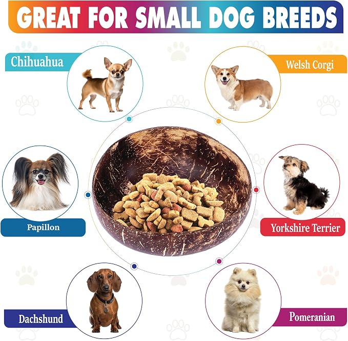 Dog Bowl with Holder for Small Dog | All-Natural Coconut Shell | Raised, Elevated, Eco-Friendly Coco Bowl with Wood Stand | Water-Proof, Water Wet & Dry Food Suitable - 20-oz