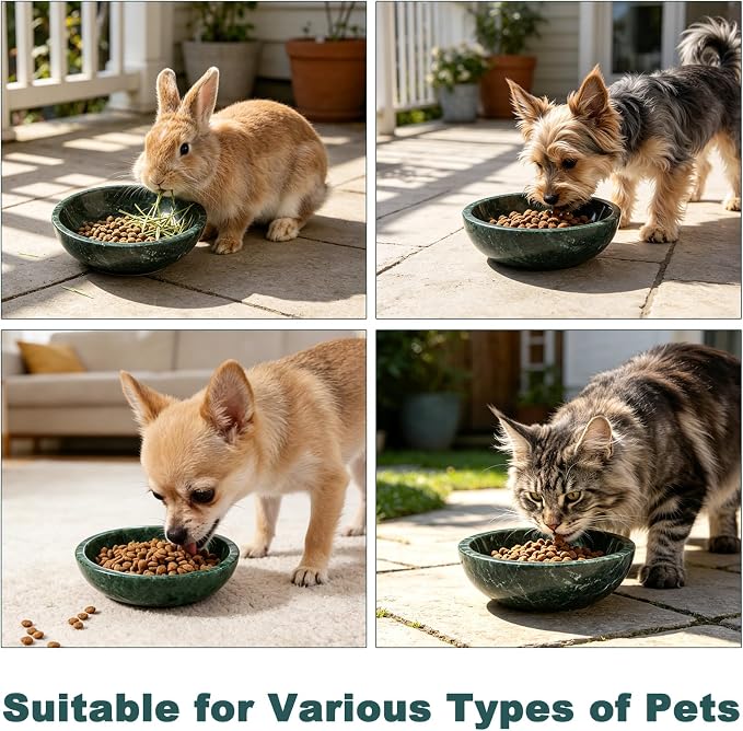 Natural Marble Cat Bowl, Weighted 1.5lb Cat Food Bowl for Cat and Small Dog, Small Animal Pet Food Dish Non-Slip, Shallow Dish for Whisker Fatigue Relief, Premium Green Stone for Home Decor
