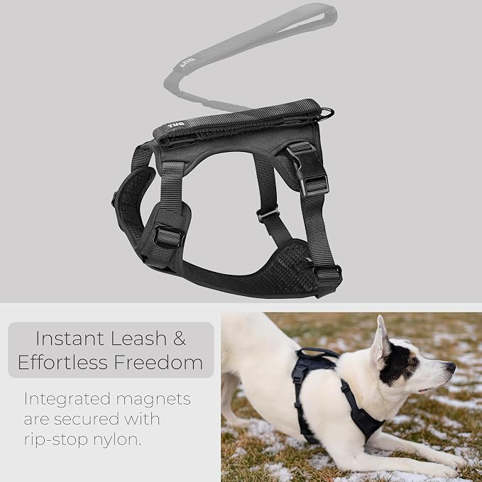 TUG Grab Dog Harness with Built-in Magnetic Traffic Leash (Small/Black) | Padded Magnetic Traffic Handle | Dual Leash Clips | 4-Point Adjustable Fit | Durable Nylon