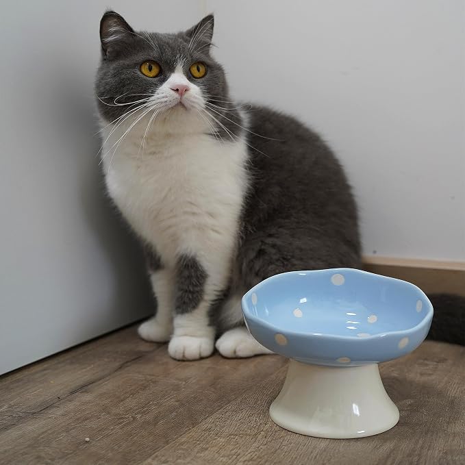 Pink and Blue Mushroom Cat Bowl Set,2PCS Elevated Ceramic Bowls for Cats | Cute Design, Elevated, Ceramic, Whisker Friendly, Dishwasher Safe
