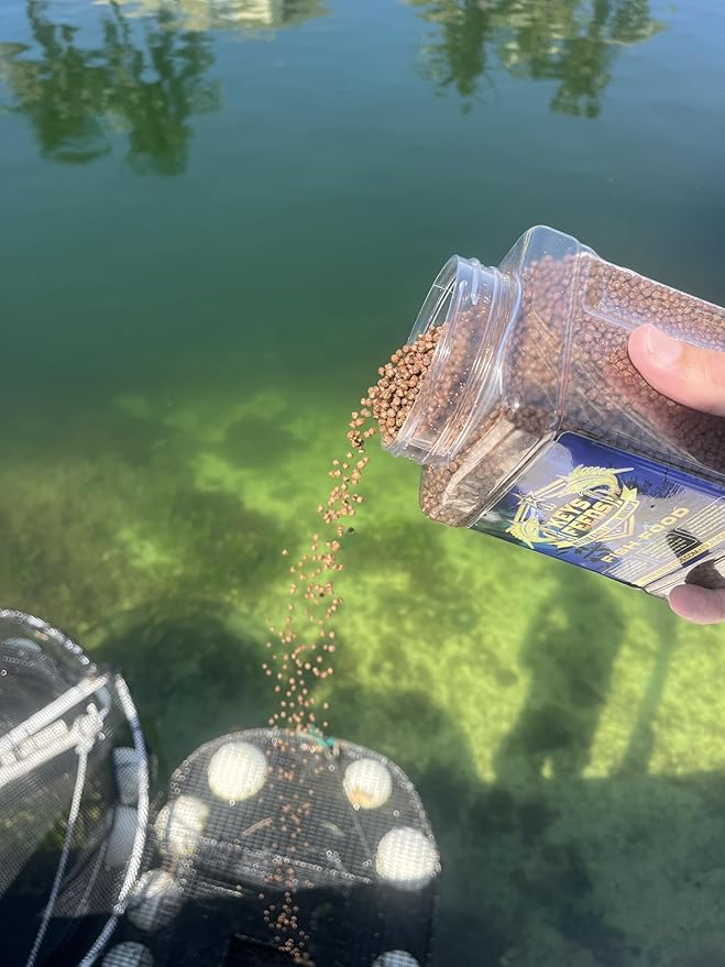 Live Bait Fish Food (Small Grip Jar)