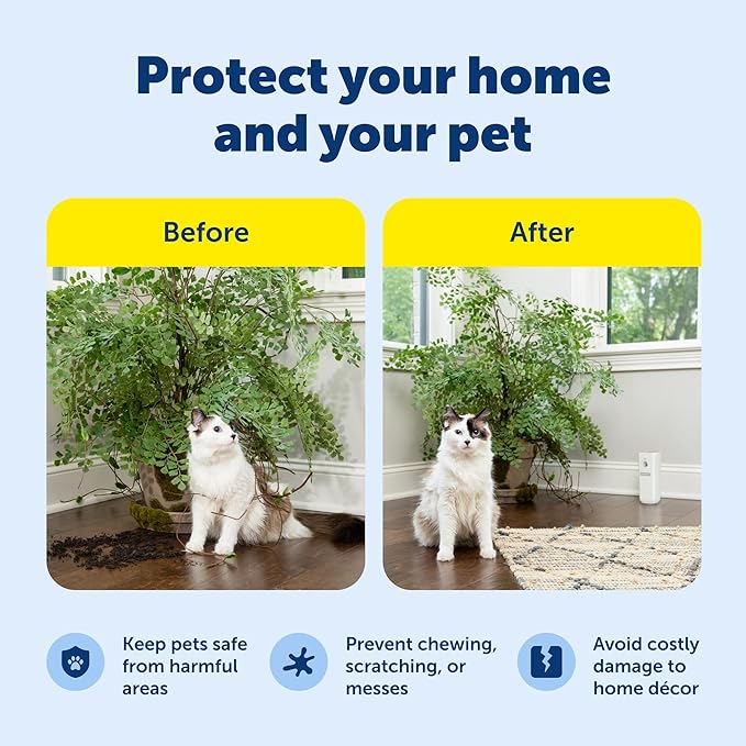 PetSafe SSSCAT Motion Activated Automatic Spray Pet Deterrent for Cats and Dogs, Improved Design