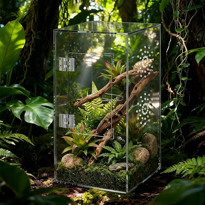 Large Jumping Spider Enclosure, 12x6x6 Inch Acrylic Spider Terrarium, Pre-Assembled Reptile Enclosure with Front Opening Door, Habitat Accessories for Mantis, Tarantula, Snail, Invertebrates