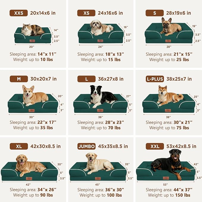 Comfort Expression Waterproof Orthopedic Dog Beds for Large Sized Dog | Supportive Egg Crate Foam Large Pet Bed with Removable Bolsters, Dog Couch with Washable Cover & Non-Slip Bottom, 38x25 Inch