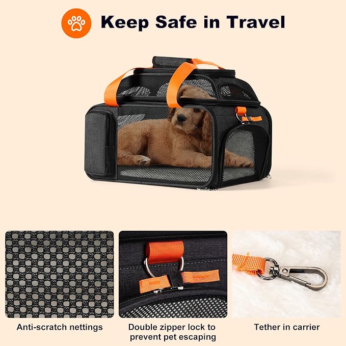pidipiti 17x12.5x8.5 Soft-Sided pet Carrier,for Extra-Small Dog/Medium cat | top and 1 side Expandable,TSA Approved,for jetblue and Other Airlines only Have 8.5'' Height Space underseat