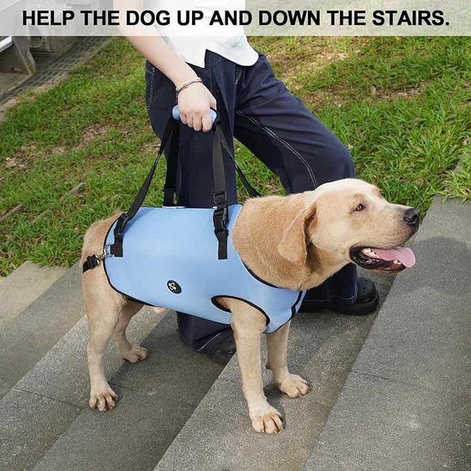 Coodeo Dog Lift Harness, Pet Support & Rehabilitation Sling Lift Adjustable Padded Breathable Straps for Old, Disabled, Joint Injuries, Arthritis, Loss of Stability Dogs Walk (Blue, XL)