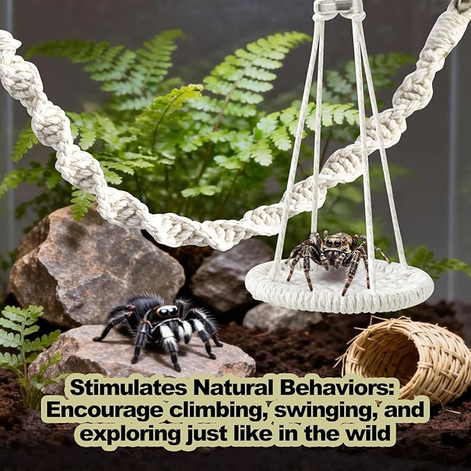 6 PCS Jumping Spider Rope Bridge Swings Set，Jumping Spider Webbed Moss Ribbon Tarantula Enclosure Accessories Natural Cotton Rope Handmade Pet Tiny Animals Enclosure Decorations