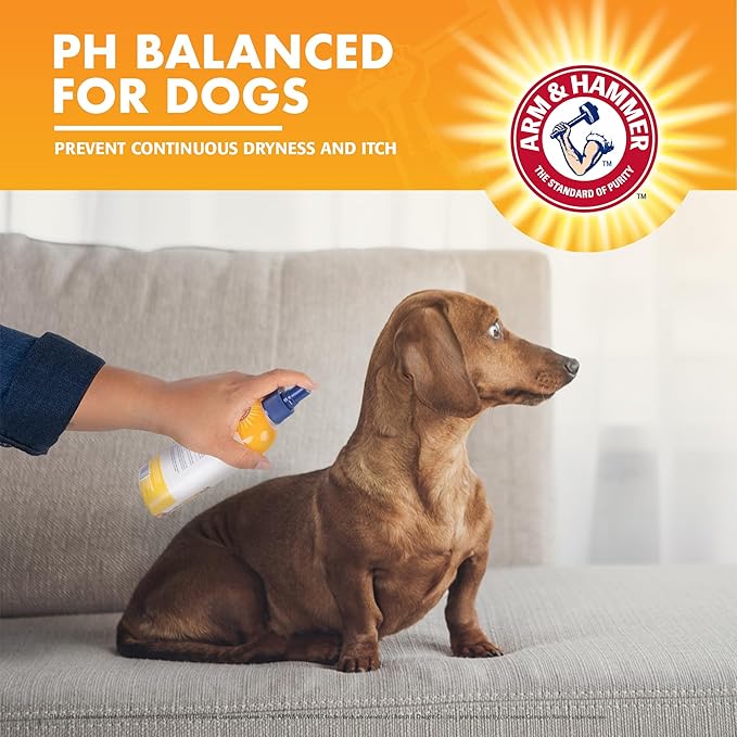 Arm & Hammer for Pets Itch Relief Spray for Dogs, Soothing Dog Skin Spray to Help Calm Itchy and Irritated Skin and Hot Spots Between Baths, Chamomile & Peppermint Scent, 8 Fl Oz - 6 Pack